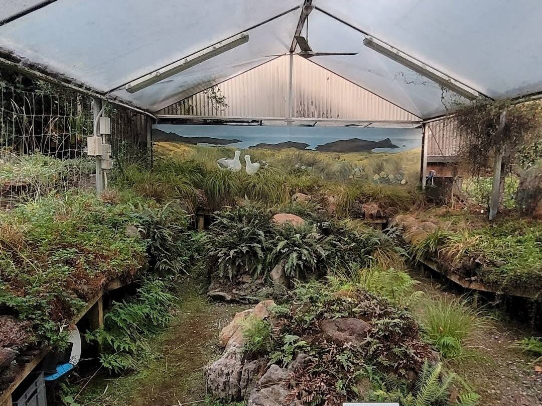 Fernglen Native Plant Gardens-Birkenhead必去景点