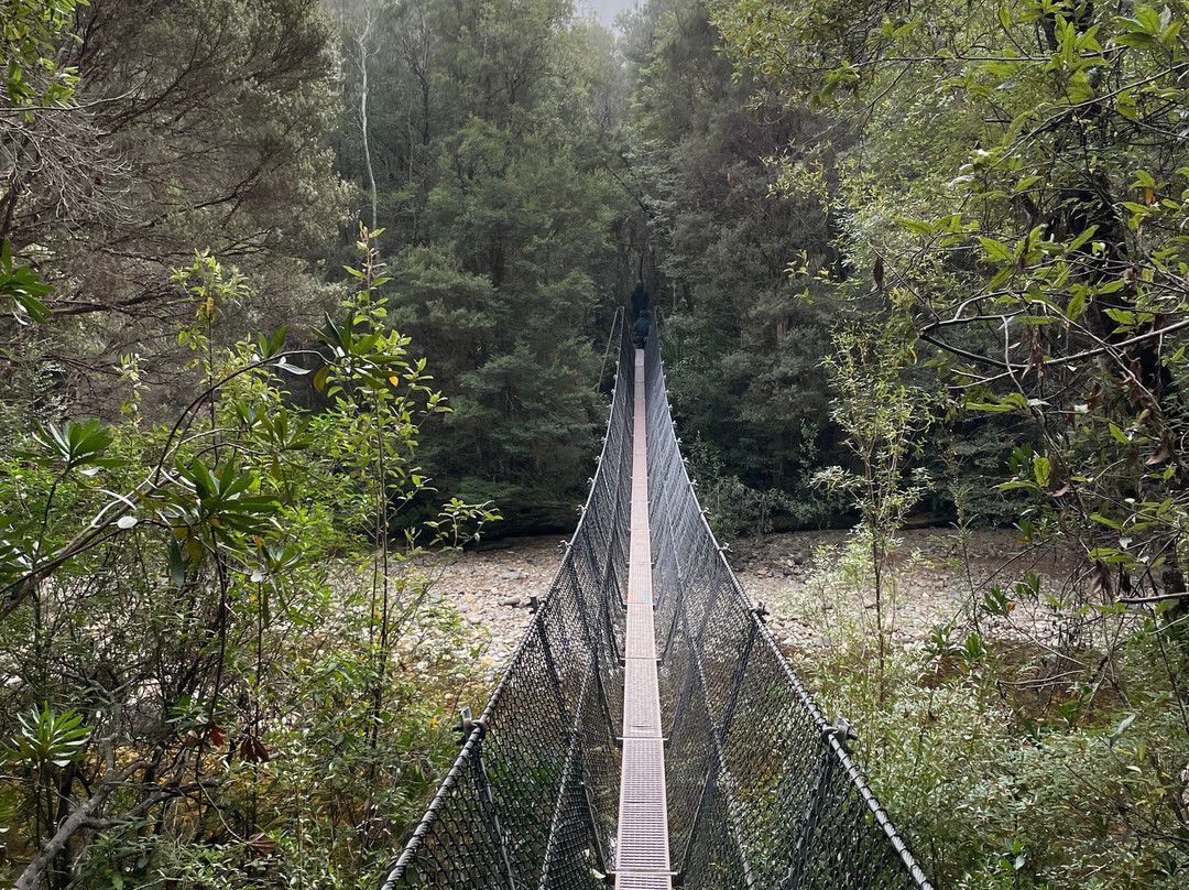 Franklin-Gordon Wild Rivers National Park-德文特桥必去景点