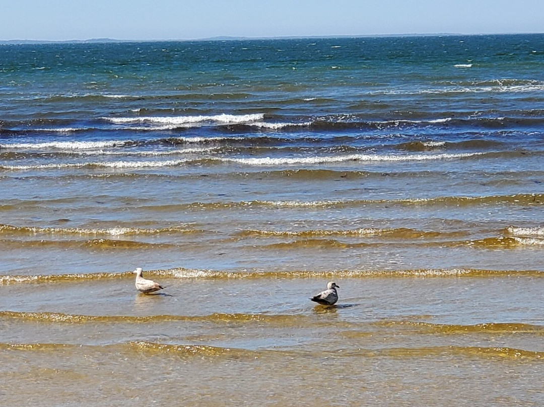 Rocky Neck State Park-East Lyme必去景点