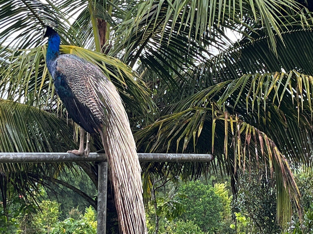 Le Domaine de la Vallee主图