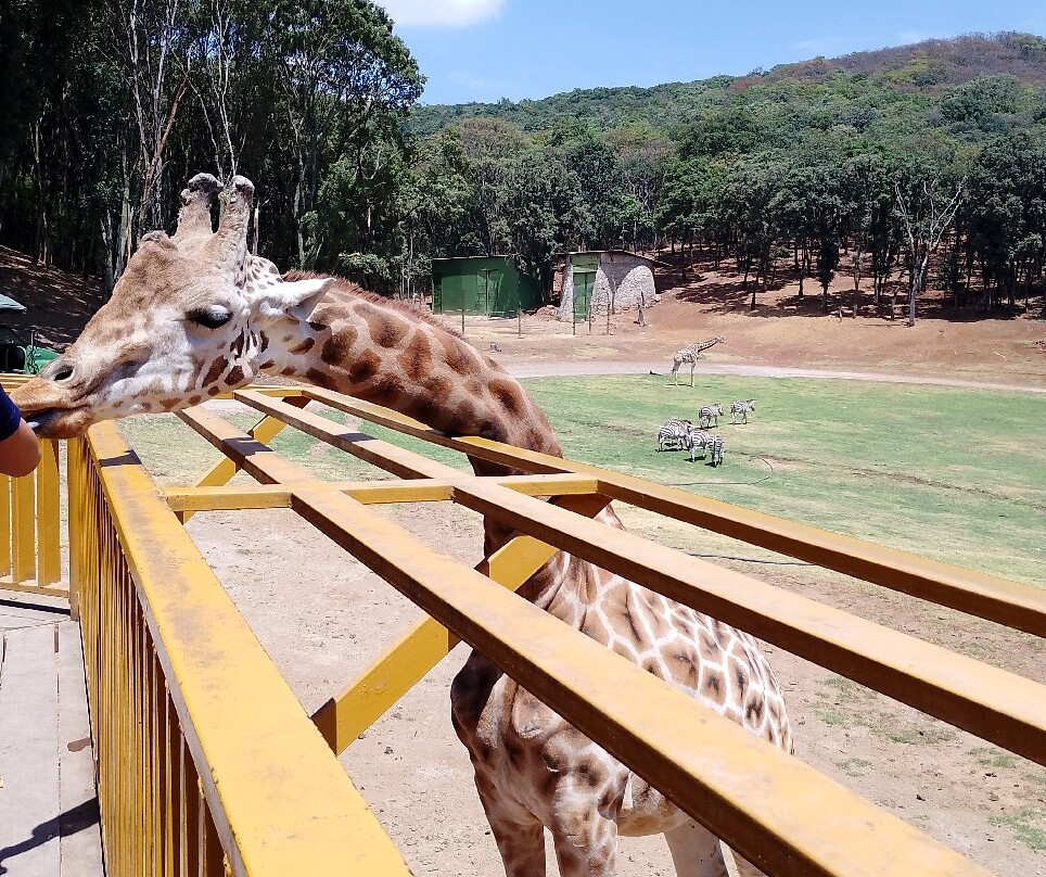 Bioparque Estrella México-San Juan Tuxtepec必去景点