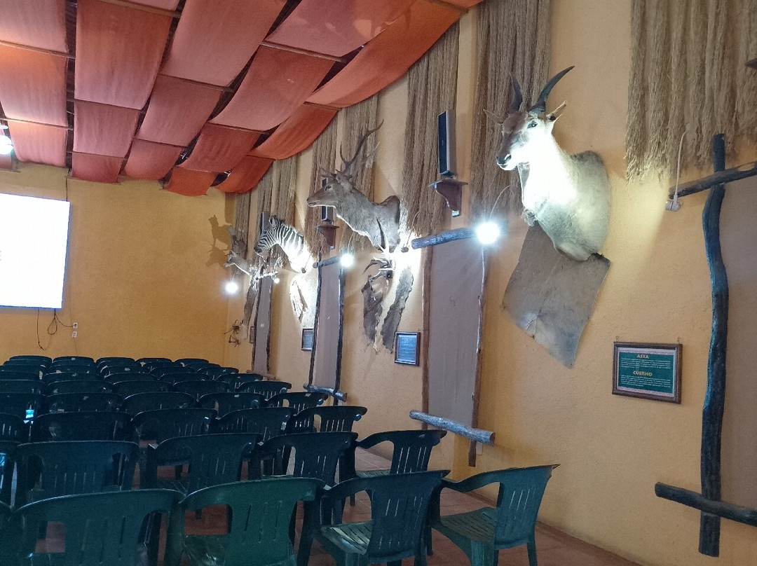 Bioparque Estrella México-San Juan Tuxtepec必去景点