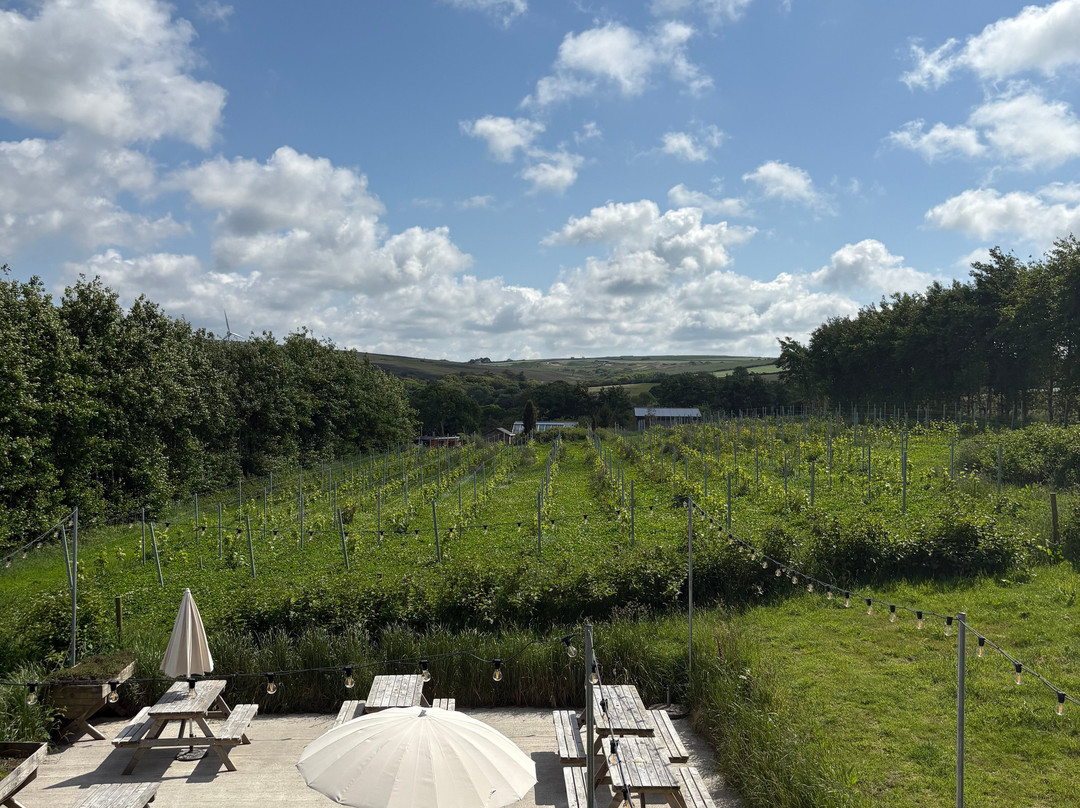 Trevibban Mill Vineyard & Orchard-Wadebridge必去景点