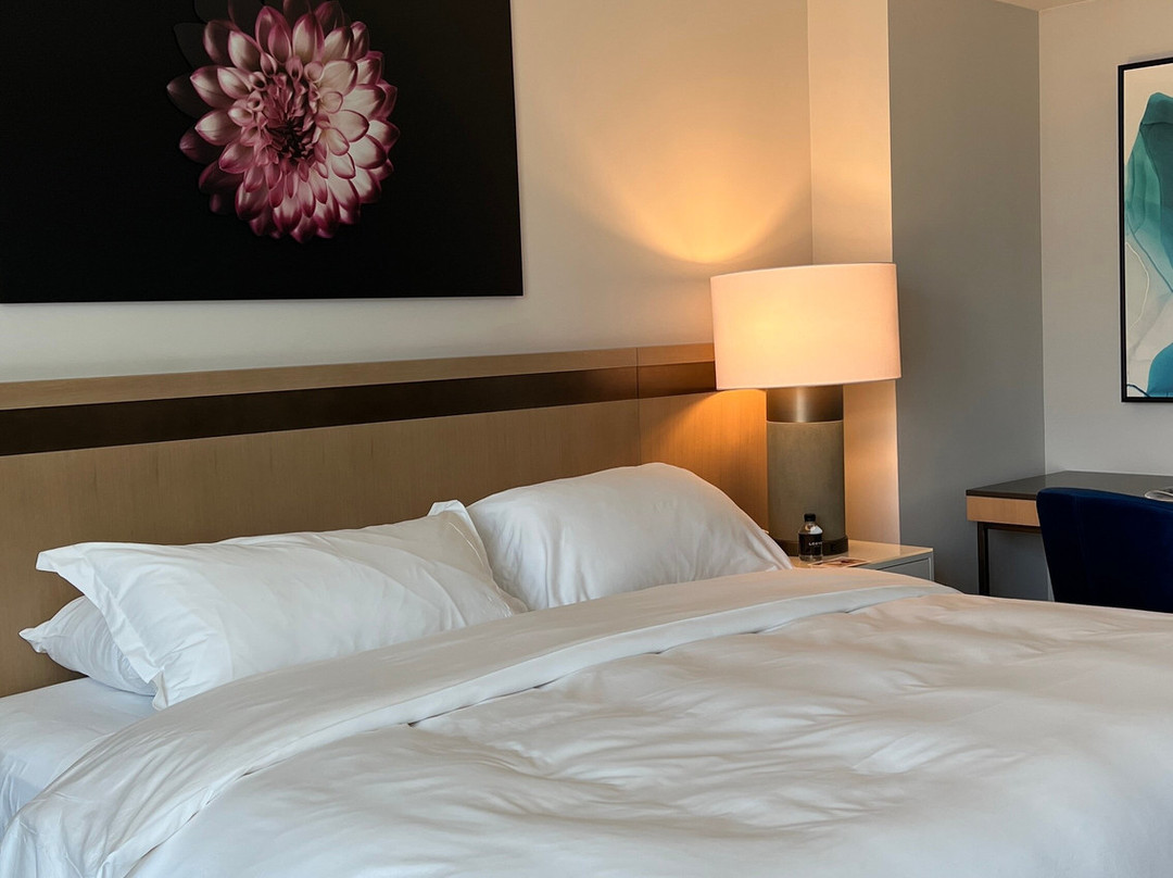 Loews Coral Gables Hotel主图