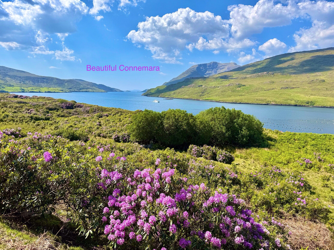 Killary Fjord Boat Tours-Leenane必去景点