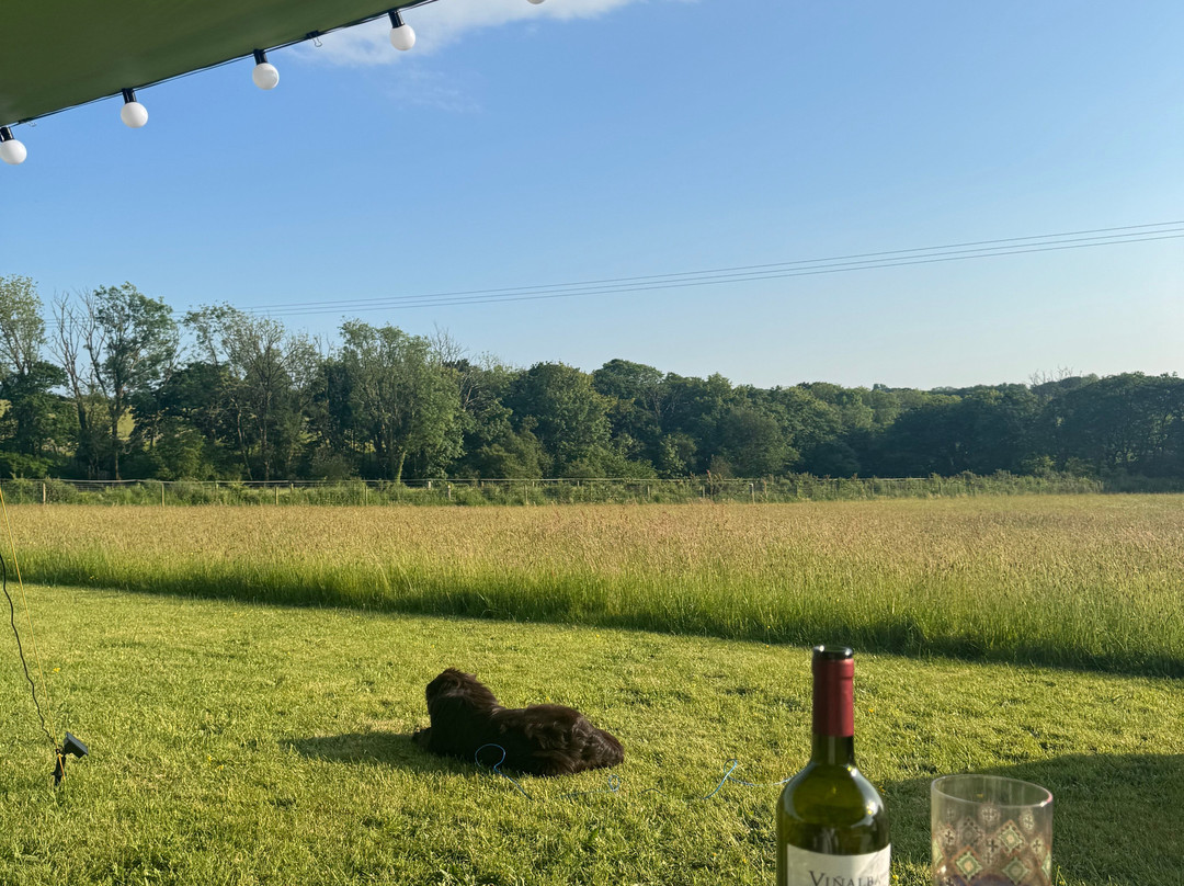 Oaklea Glamping And Camping