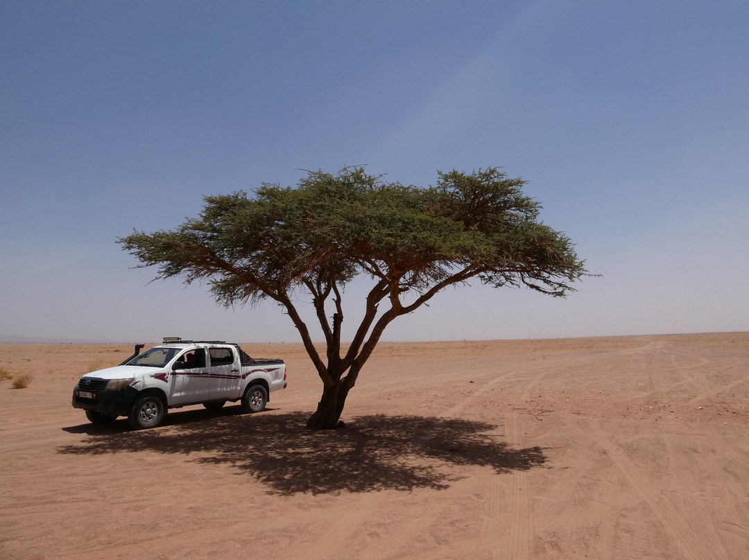 My Sahara Trek-迈哈米德必去景点