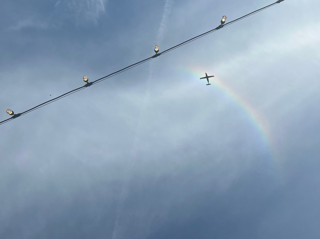 Tinte Cellars-西雅图必去景点