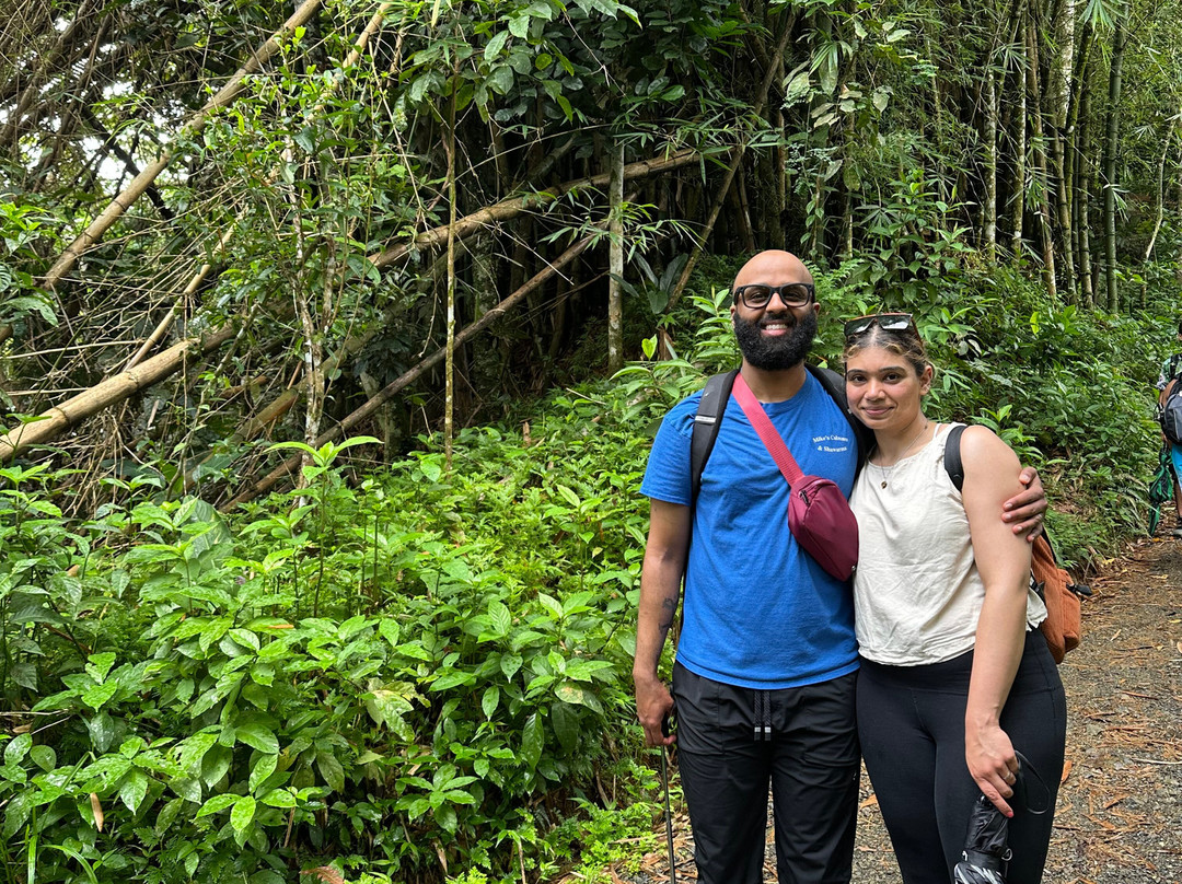 El Yunque Tours-Rio Grande必去景点