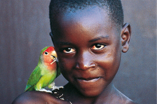 C Africa Safaris & Tours