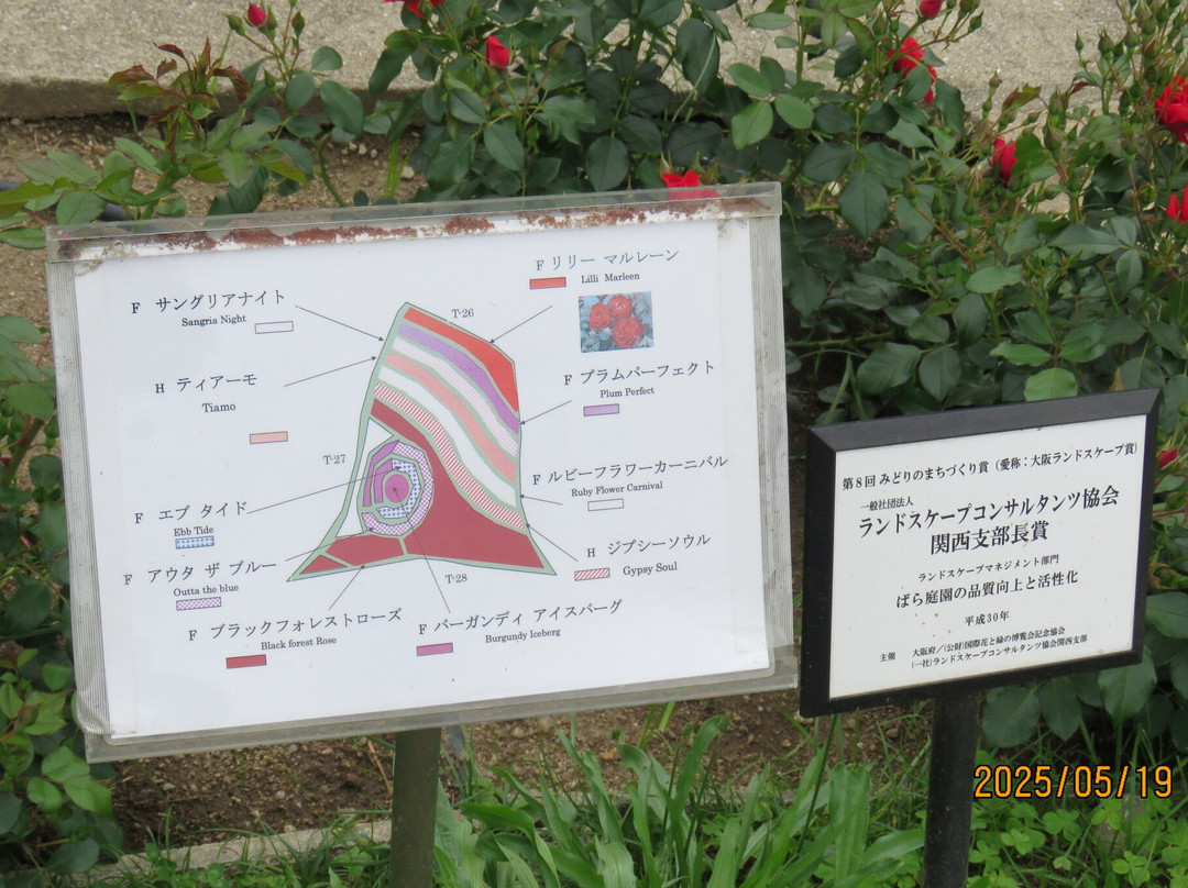 Hamadera Park-坂井市必去景点
