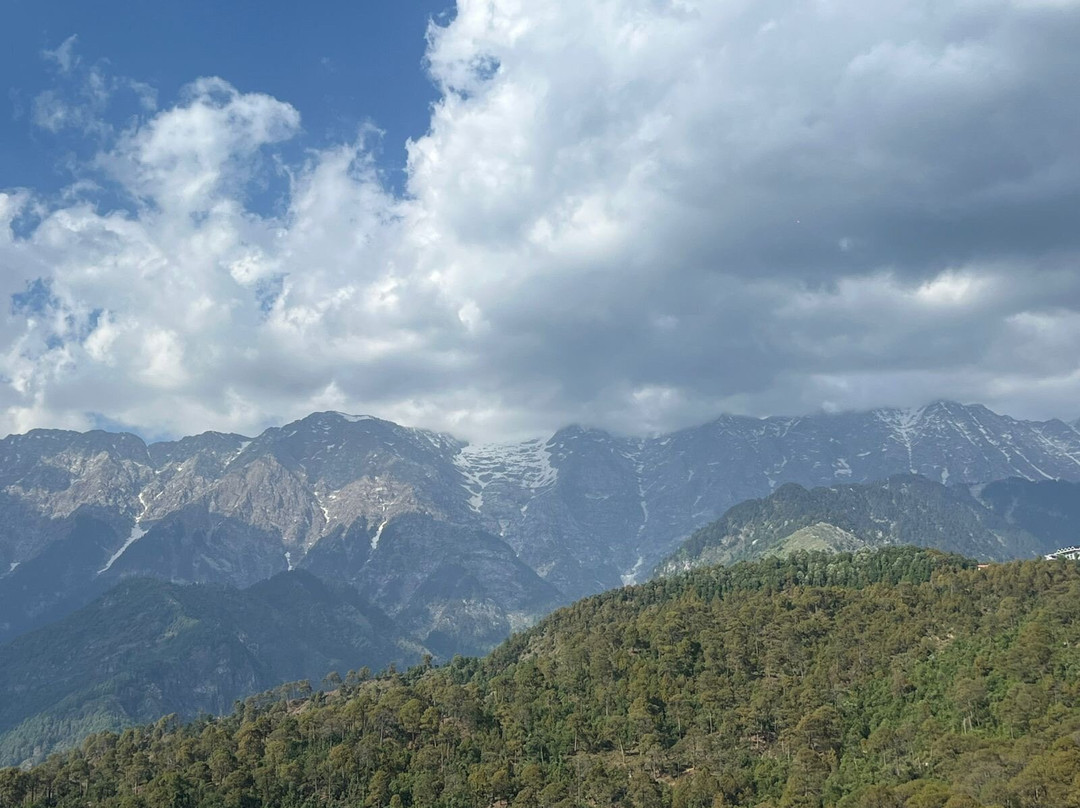 Lemon Tree Hotel Mcleodganj主图