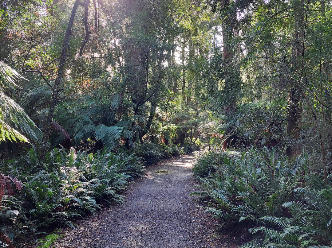 Hogarth Falls-斯特拉恩必去景点