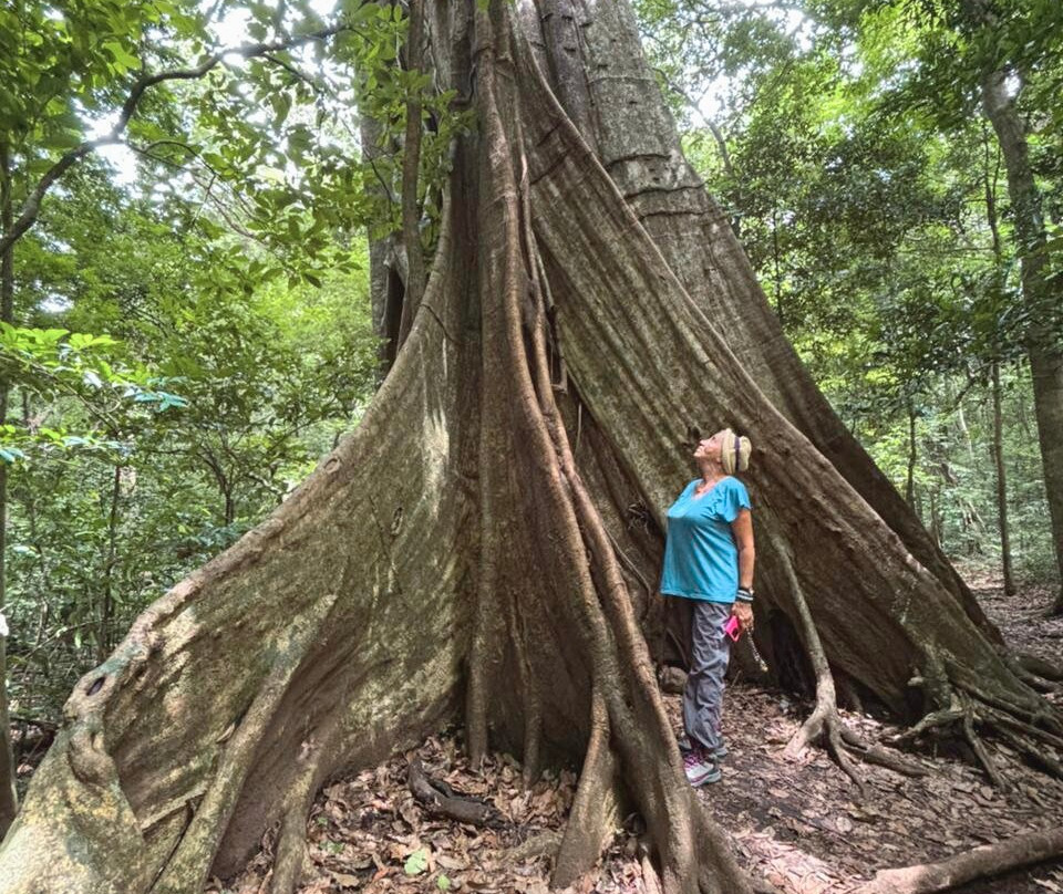 Parque Nacional Rincón de la Vieja景点图片