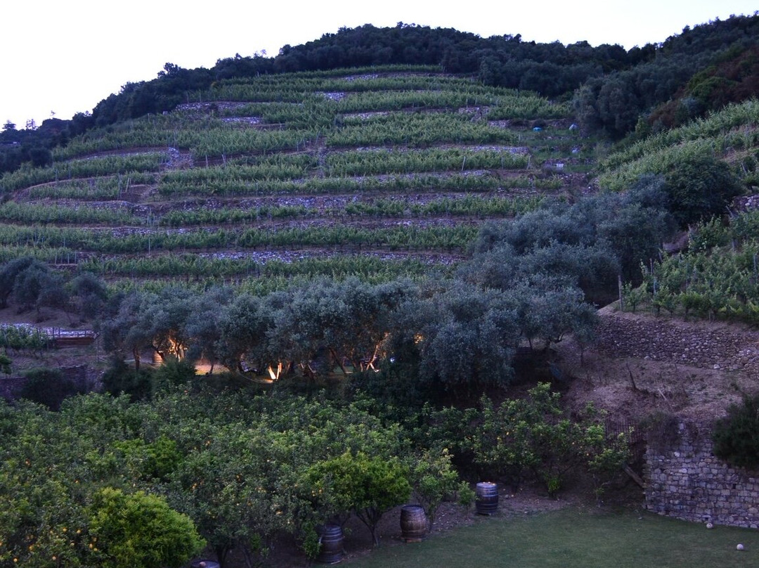 Buranco Agriturismo-滨海蒙特罗梭必去景点