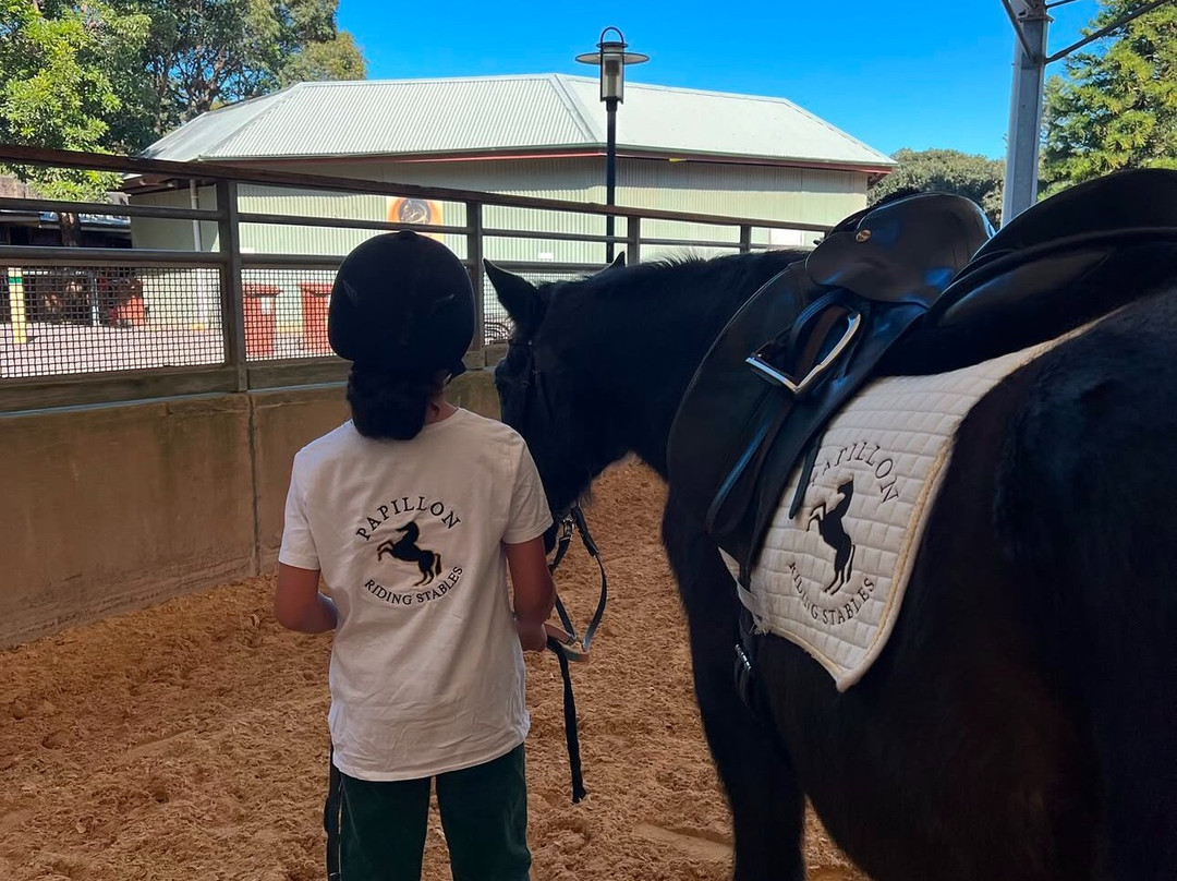Papillon Riding Stables-悉尼必去景点