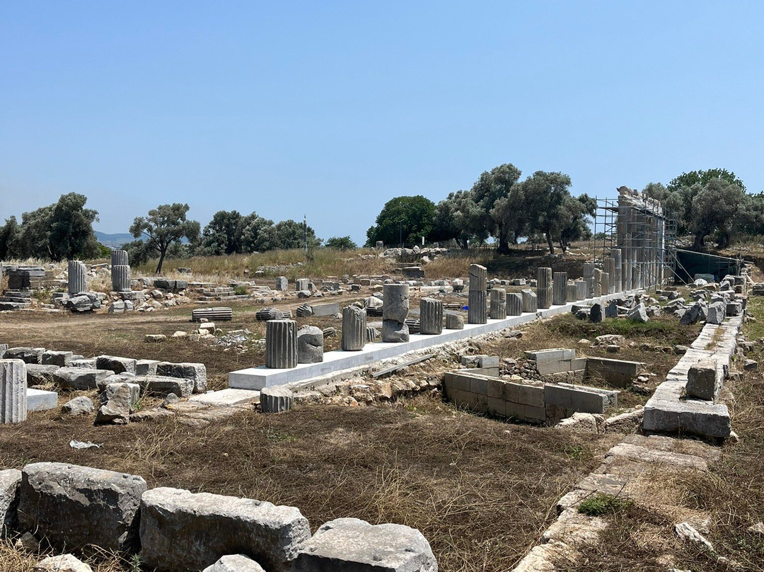 Teos Antik Kenti景点图片