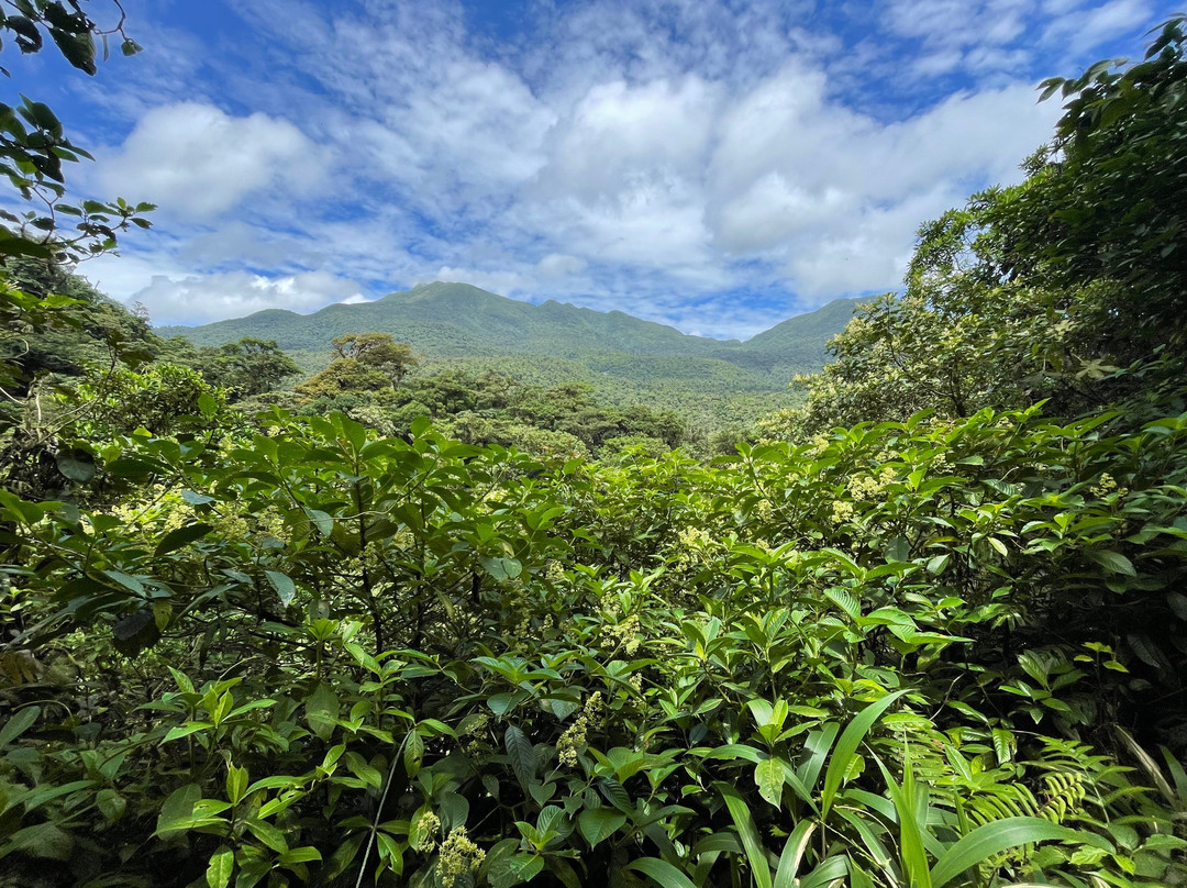 YouAreCostaRica-大滩必去景点