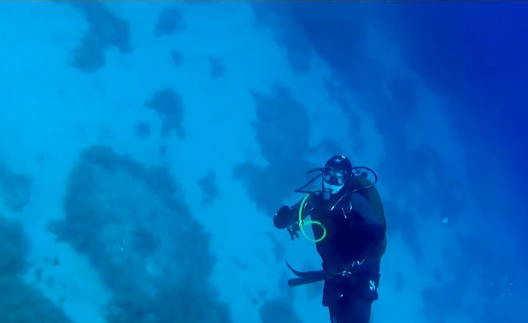 Centro Immersioni ALLDIVE-Costa Rei必去景点