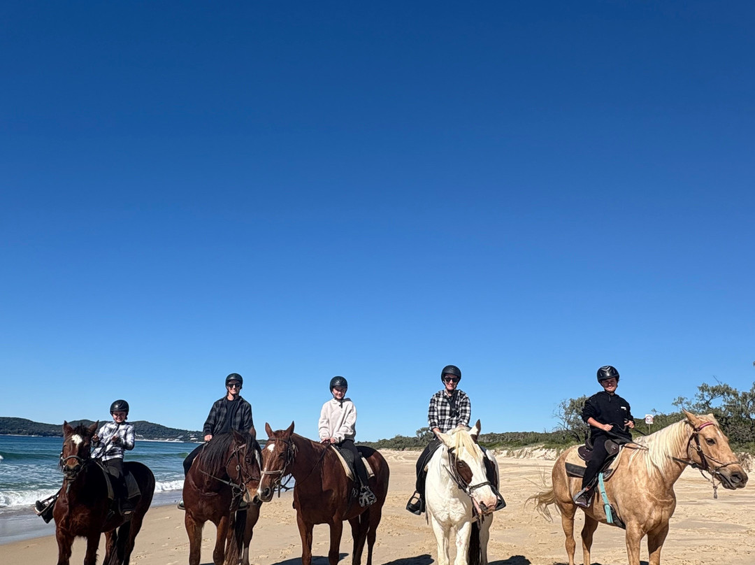 Noosa Horse Riding景点图片