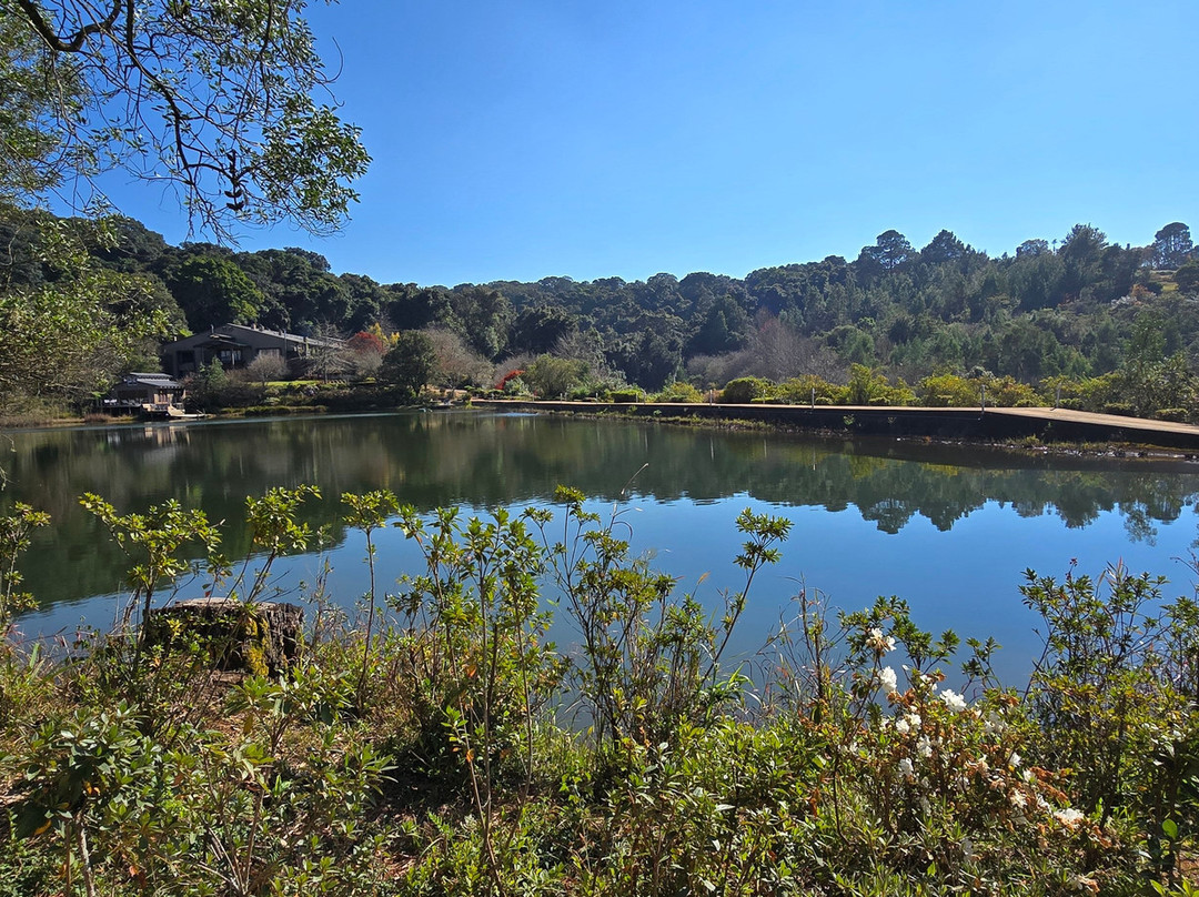 Bramasole Boutique Hotel主图