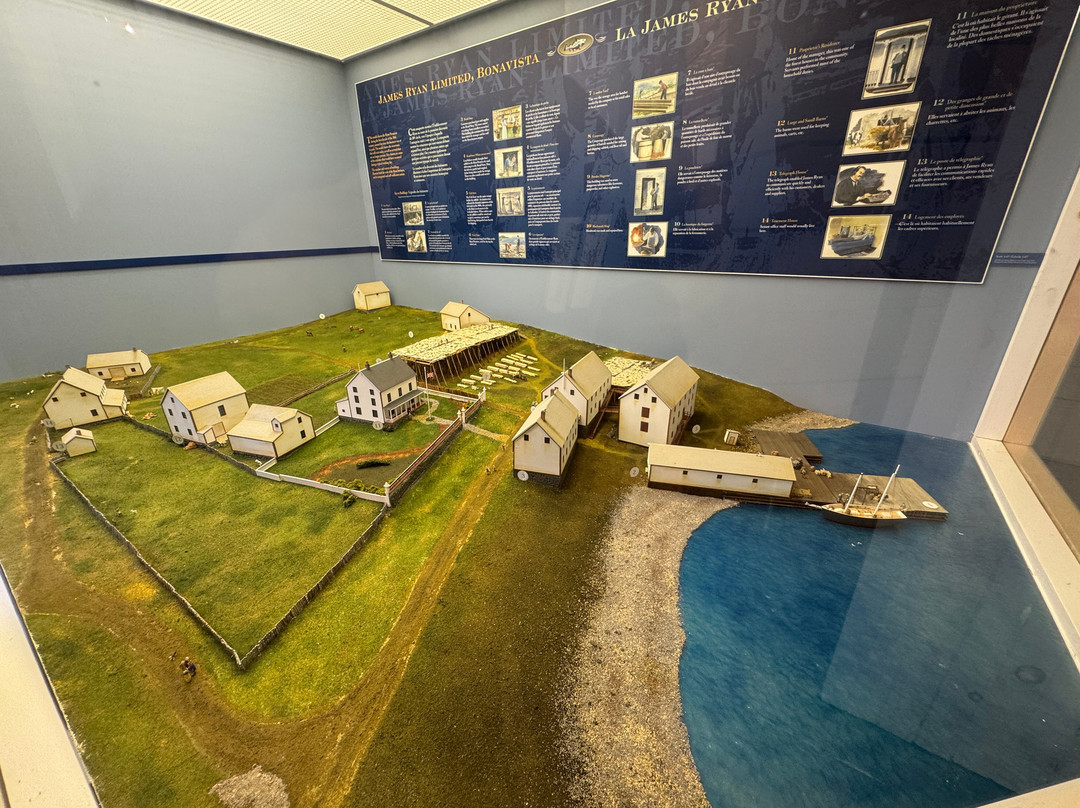 Ryan Premises National Historic Site-Bonavista必去景点