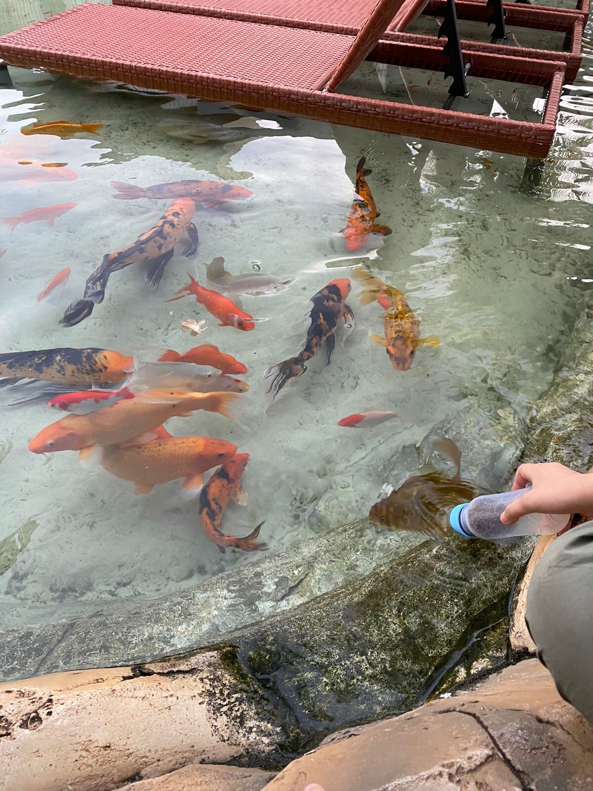 Carpe Diem Eco Resort Olímpia-家庭/游戏区