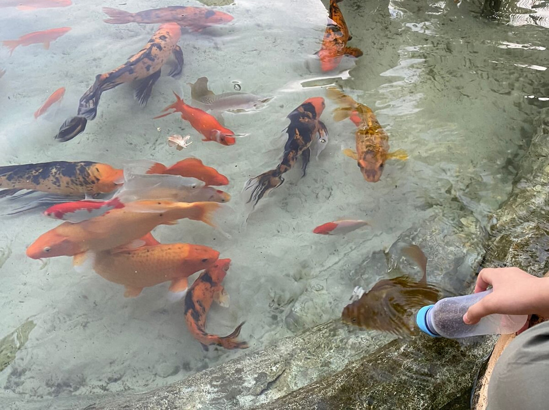 Carpe Diem Eco Resort Olímpia主图