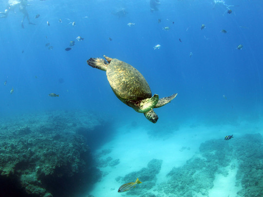 快乐海洋游-考普雷必去景点
