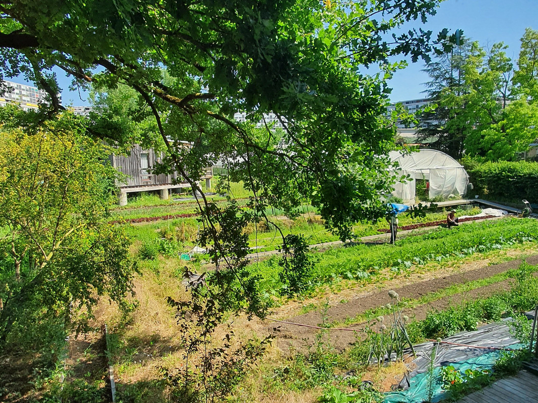 Ferme du Lignon主图