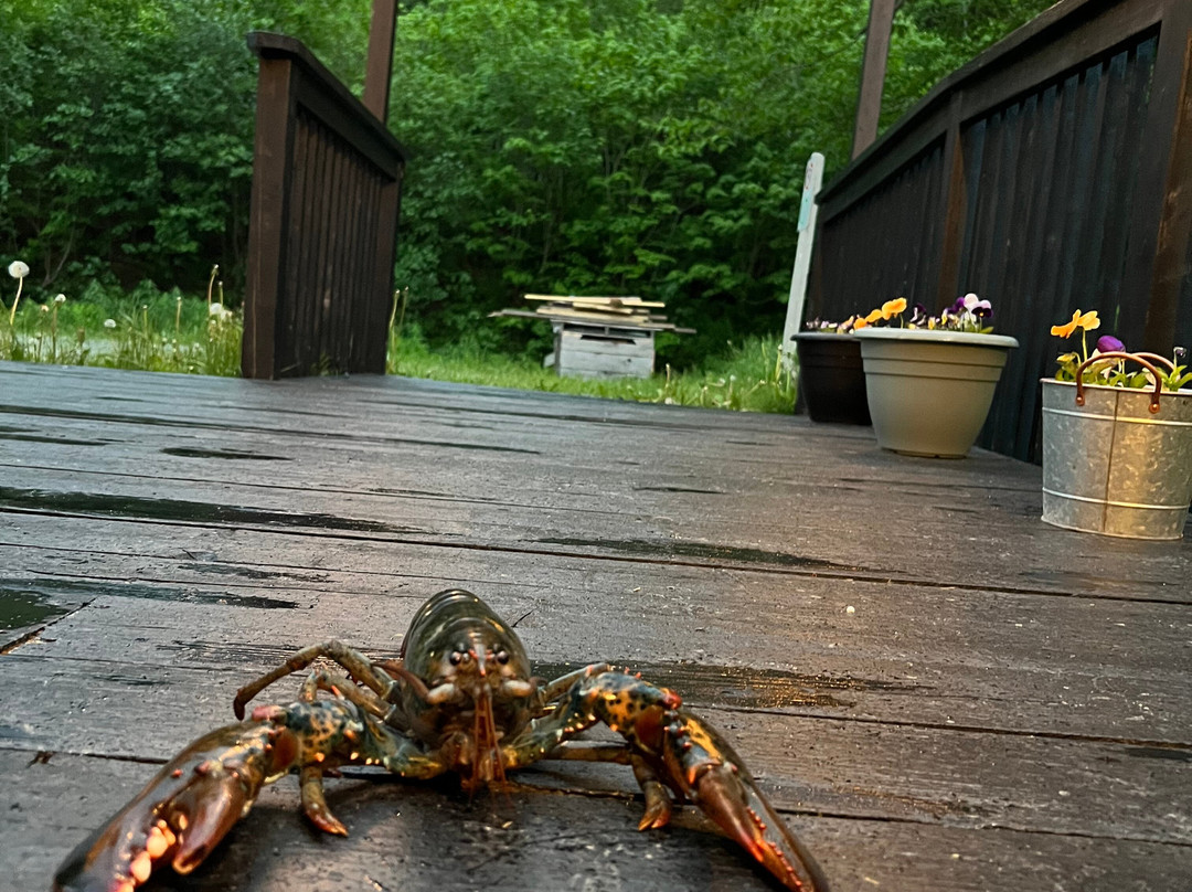 Pollen Nation Farm-Little Rapids必去景点
