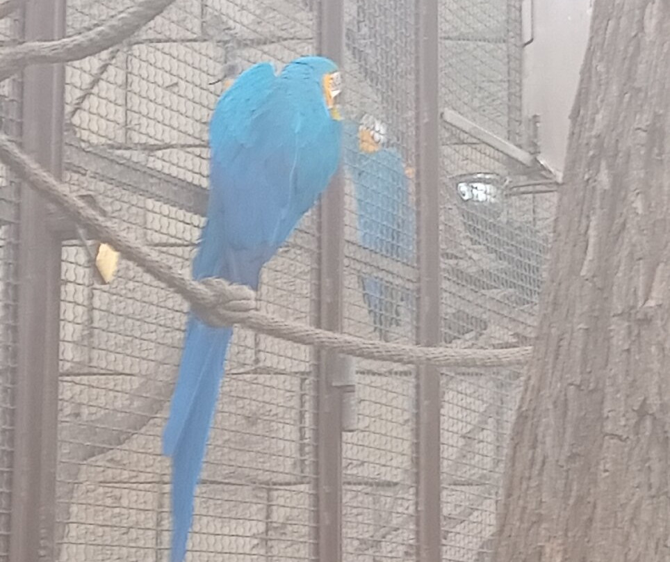 Terra Natura Benidorm-贝尼多姆必去景点