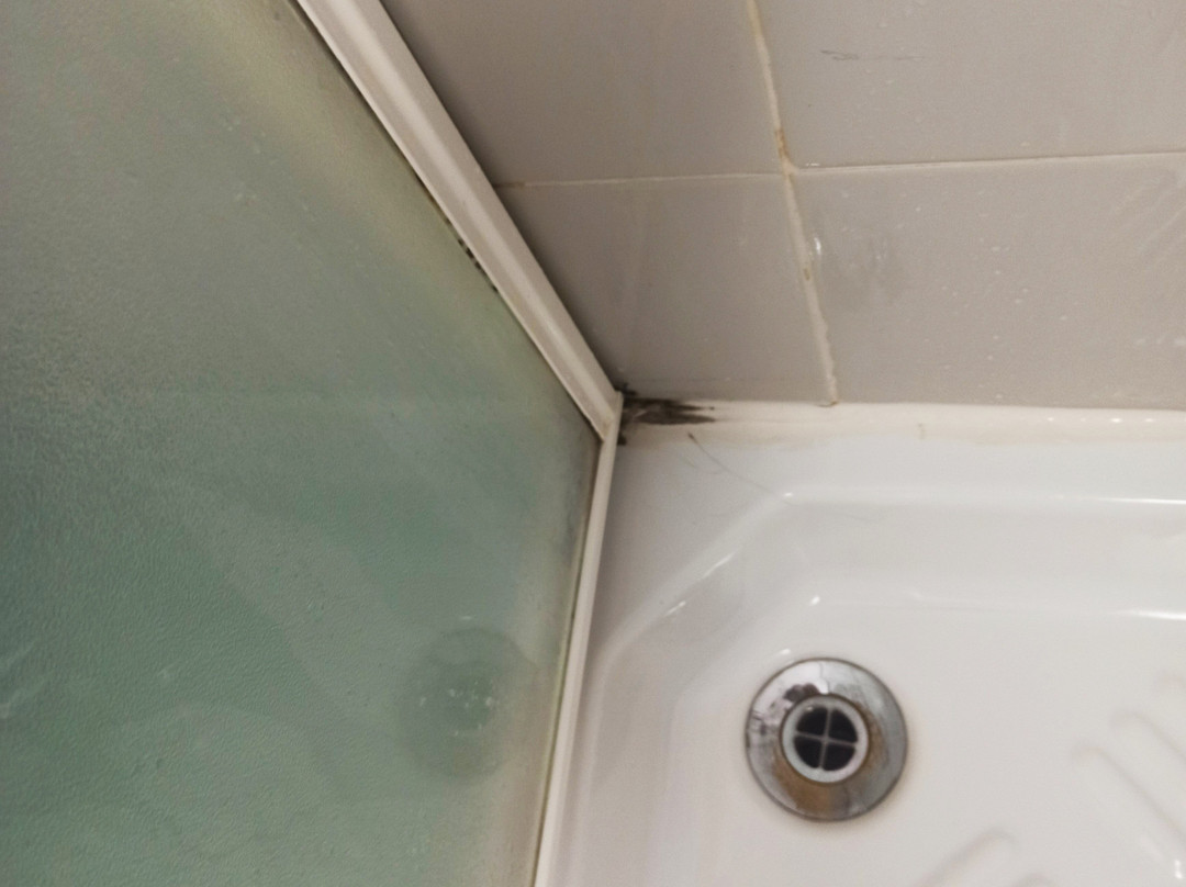 Europa Palace Hotel主图