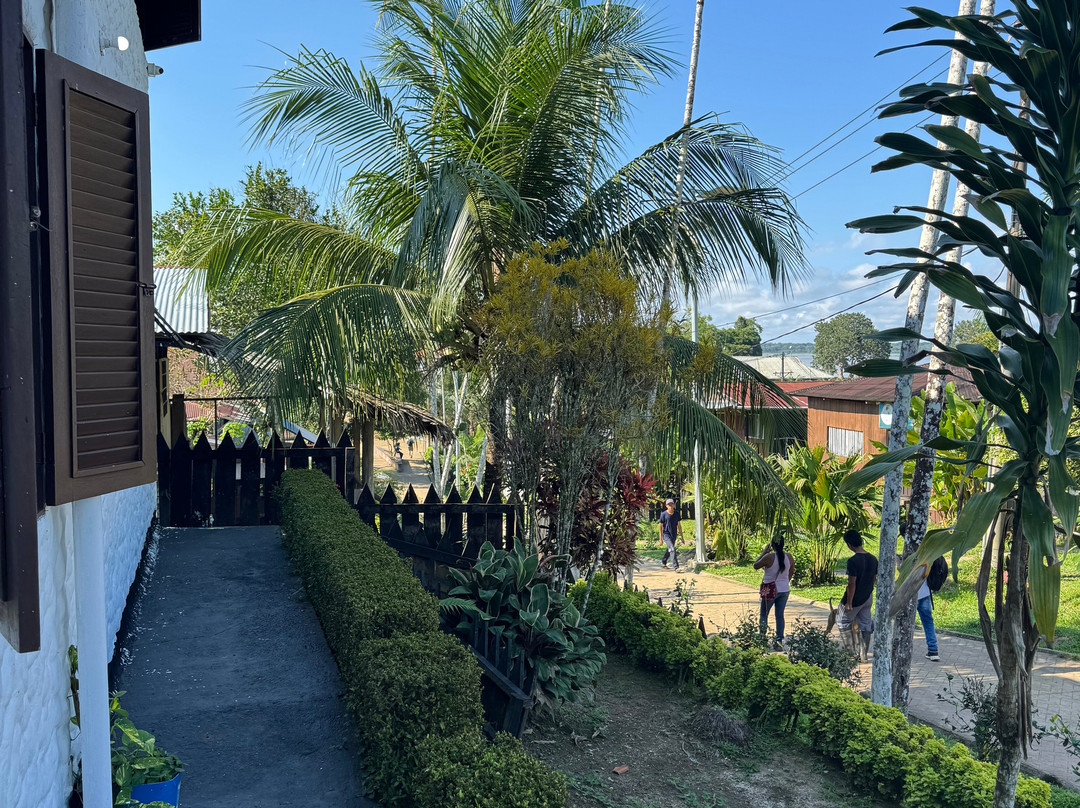 Amazon Jungle Johnny Tours-Puerto Narino必去景点