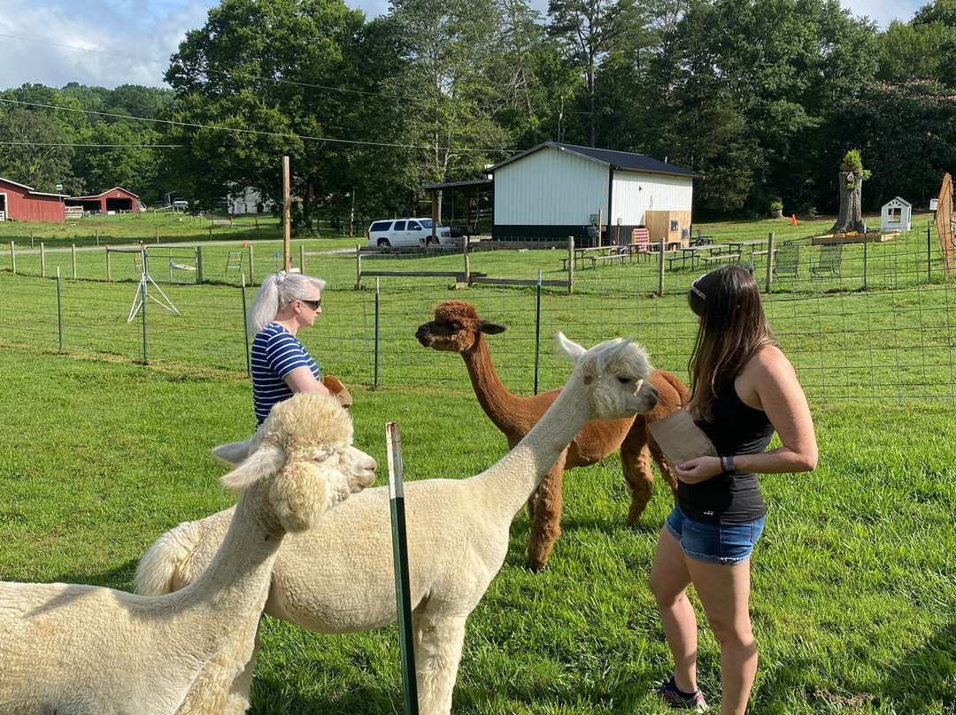 Experience Chattanooga Guided Hiking Tours-查塔努加必去景点