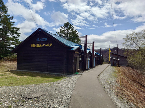 幸福的黄手帕-夕张市必去景点