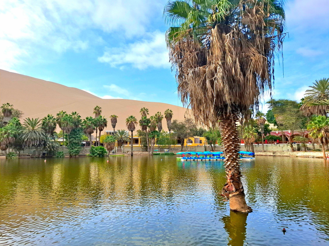 Oasis Huacachina-伊卡必去景点