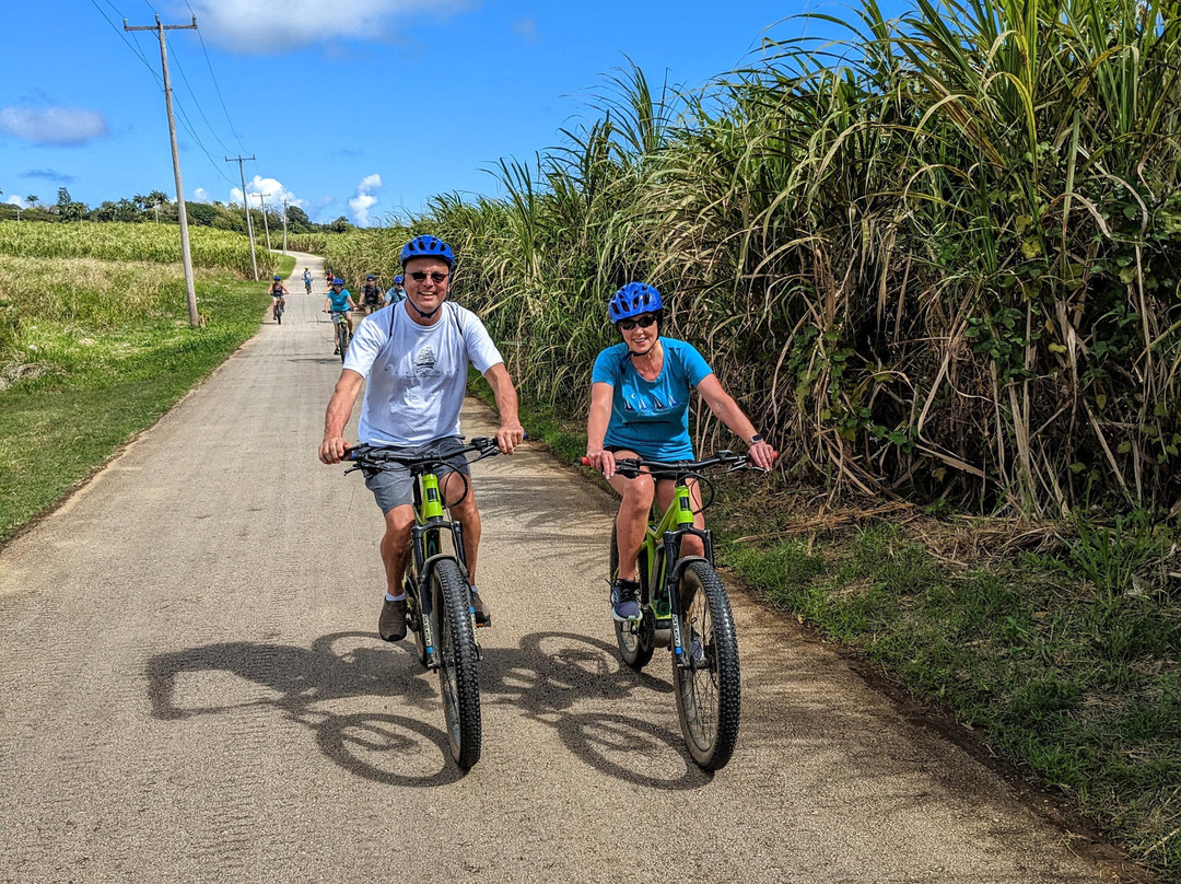 EBike Island Adventures-奥伊斯廷斯必去景点