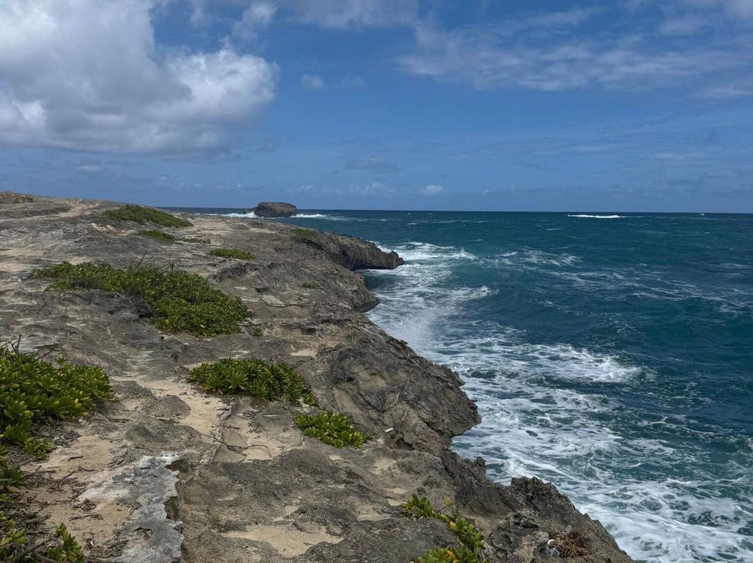 Laie Point State Wayside Park-拉叶必去景点