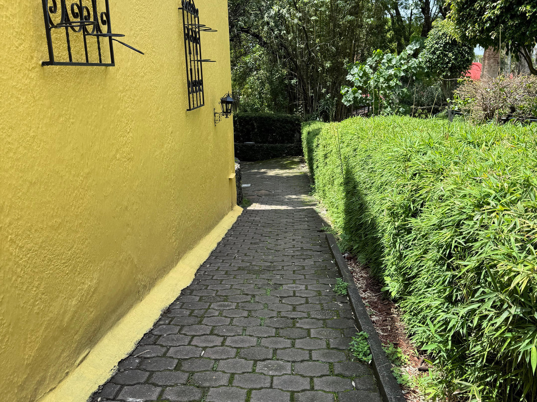 库埃纳瓦卡瑞凯特酒店 - 欧斯达主图