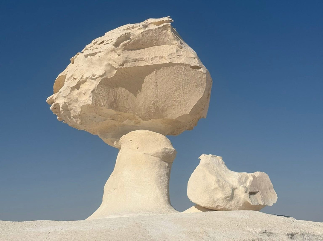 White Desert tours-Bawiti必去景点