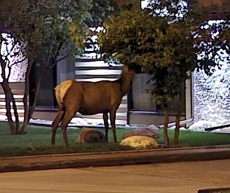 杰士伯城堡酒店主图