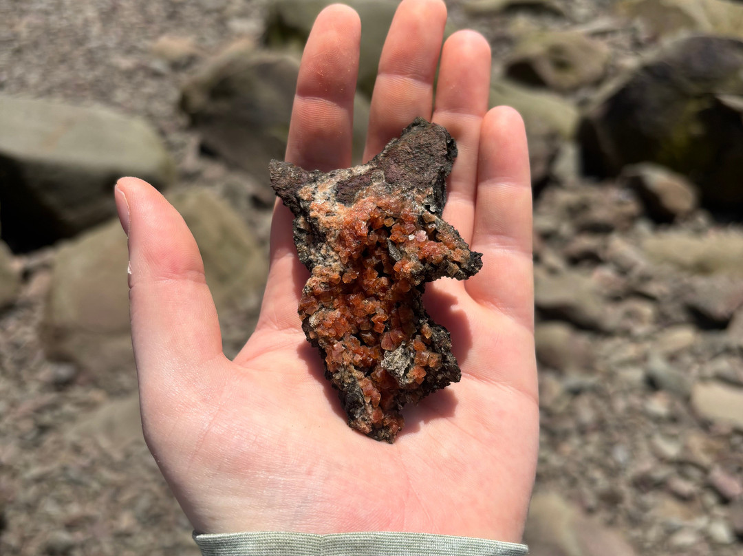 Fundy Treasure Tours-Joggins必去景点