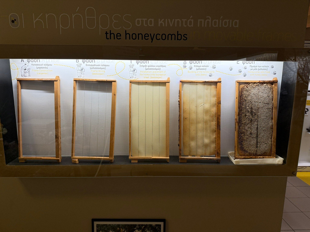 Bee Museum-Pastida必去景点