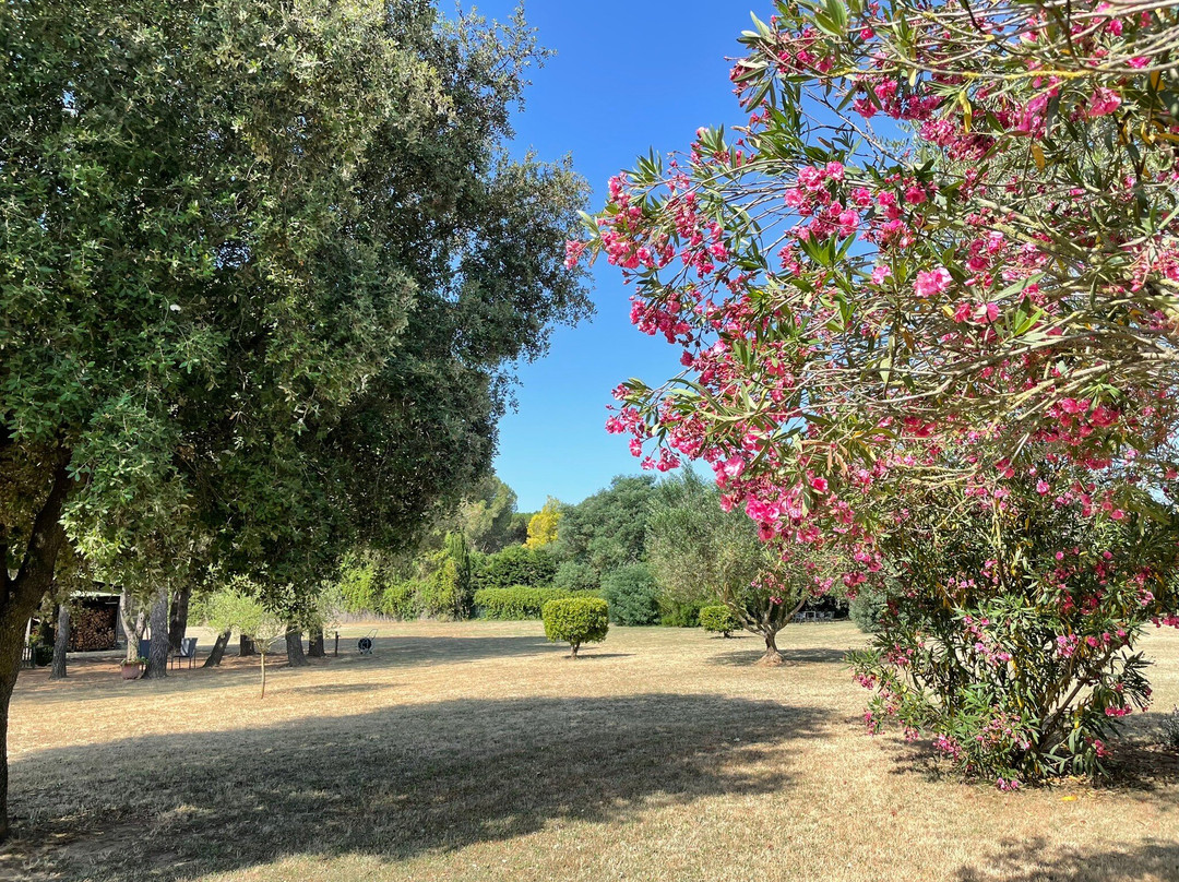 Hotel Mas Rabiol主图