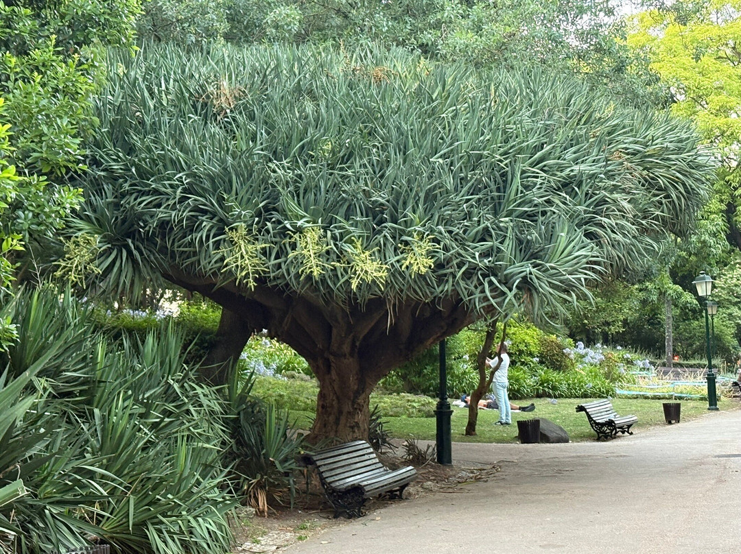 Jardim Da Estrela Park-里斯本必去景点