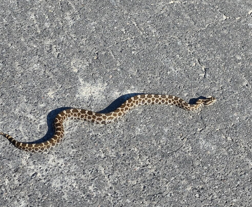 Black Creek Provincial Park-Stokes Bay必去景点