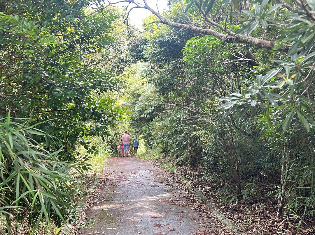 Kunigami Village Forest Park-国头村必去景点