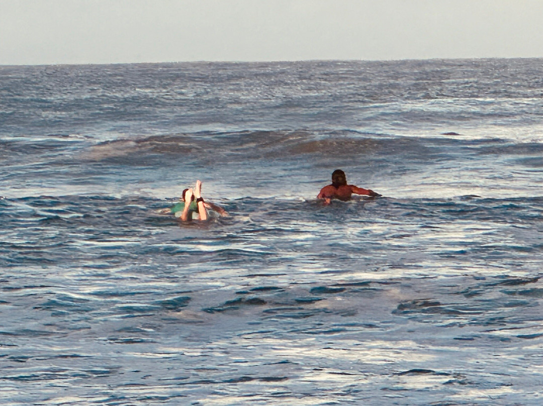 The Gilded Iguana Surf Club-Playa Guiones必去景点