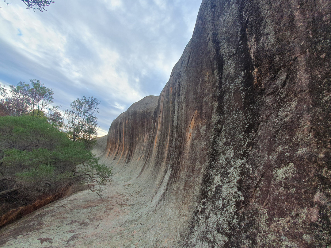 Pildappa Rock-Minnipa必去景点